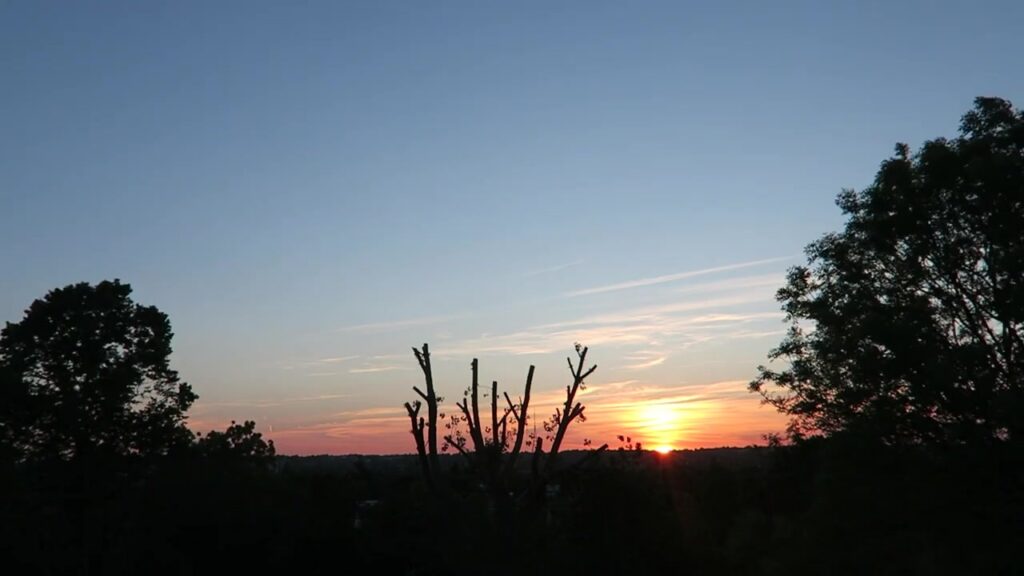 The sun setting behind trees and rooftops in the original 2015 film.