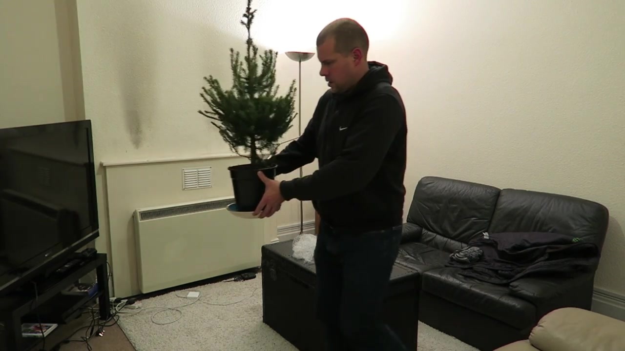Barry holding a small potted Christmas tree in the living room