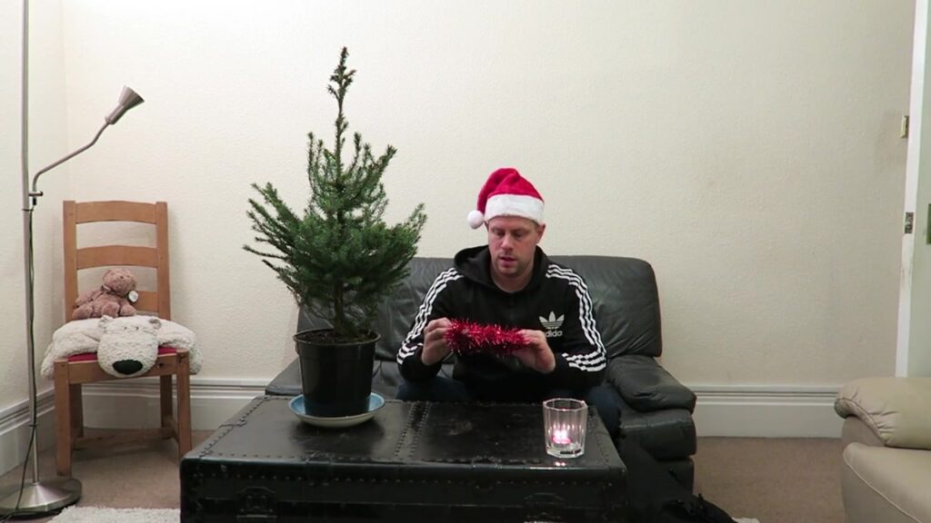 Barry wearing a Santa hat beside a small Christmas tree with decorations in hand