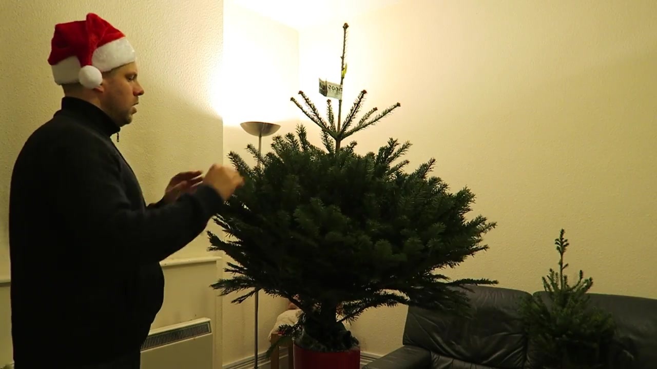 Barry in a Santa hat beside the newly unpacked Christmas tree at home.