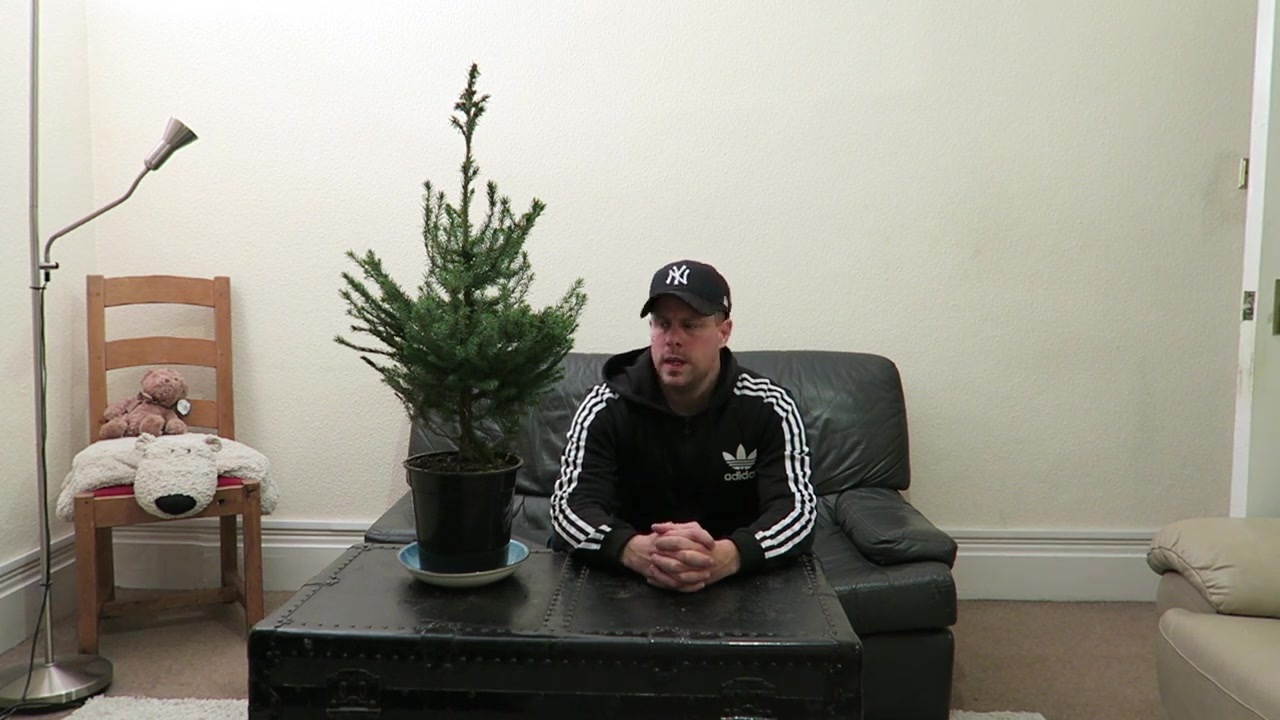 Barry sitting beside a small undecorated Christmas tree on a table