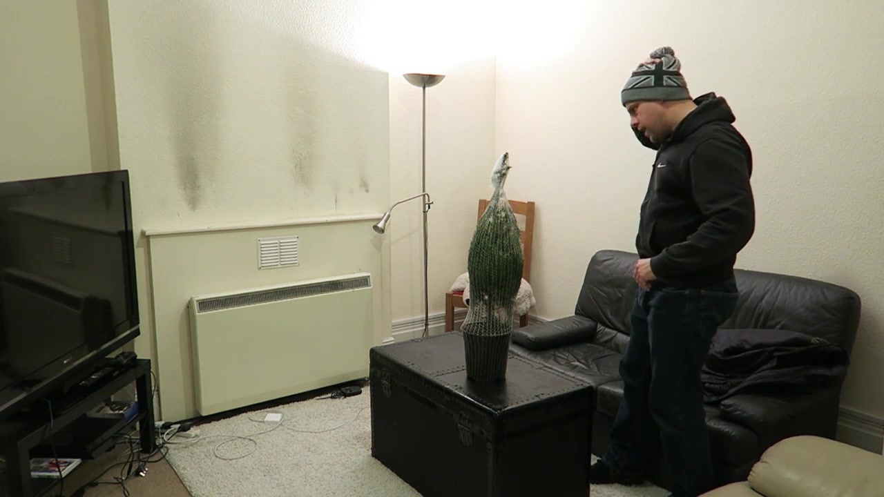 Barry beside the newly purchased tree on the coffee table