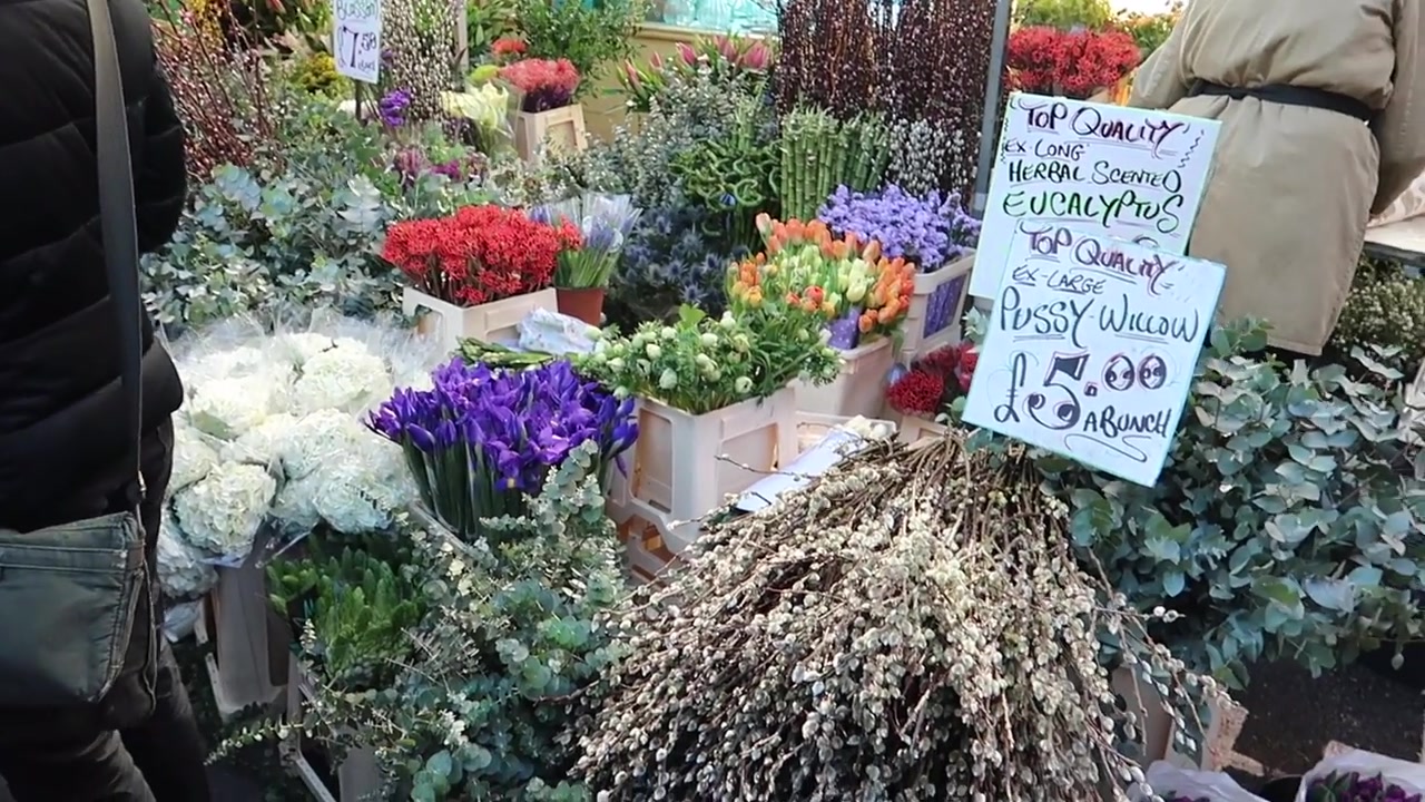 Winter flowers and pussy willow at Columbia Road Flower Market in East London