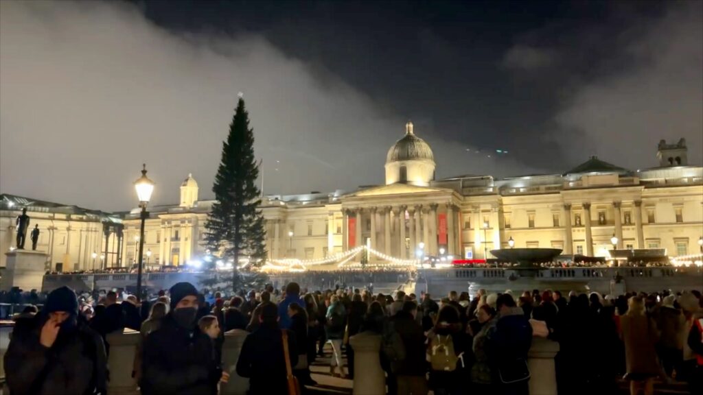 Trafalgar Square Christmas tree at night with the National Gallery in the background