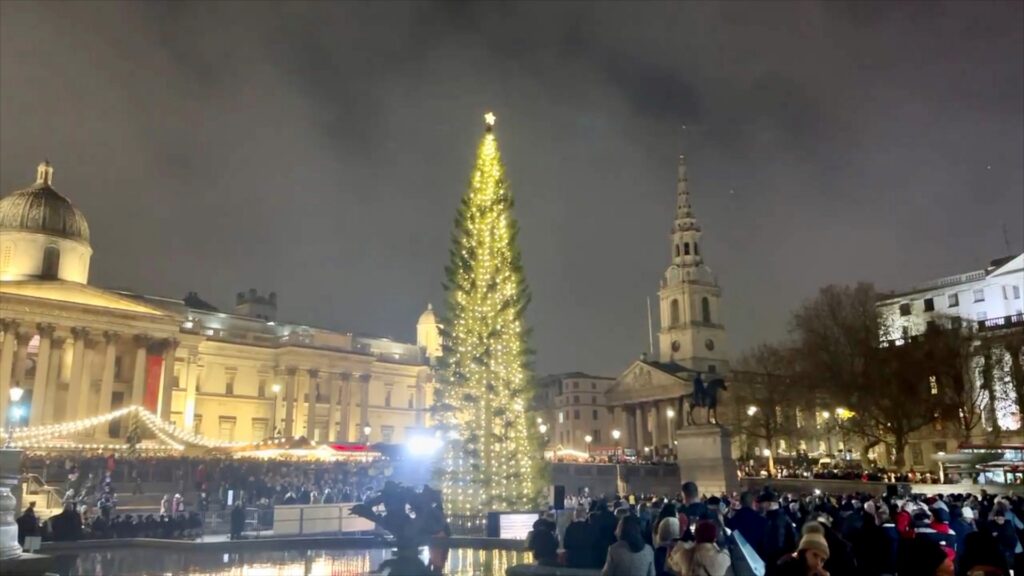 Trafalgar Square Christmas tree illuminated at night with the National Gallery in the background