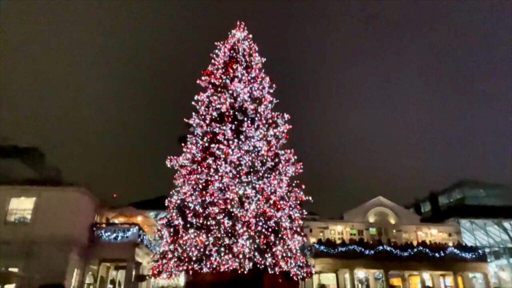 Christmas in London After Dark Covent Garden Christmas Tree