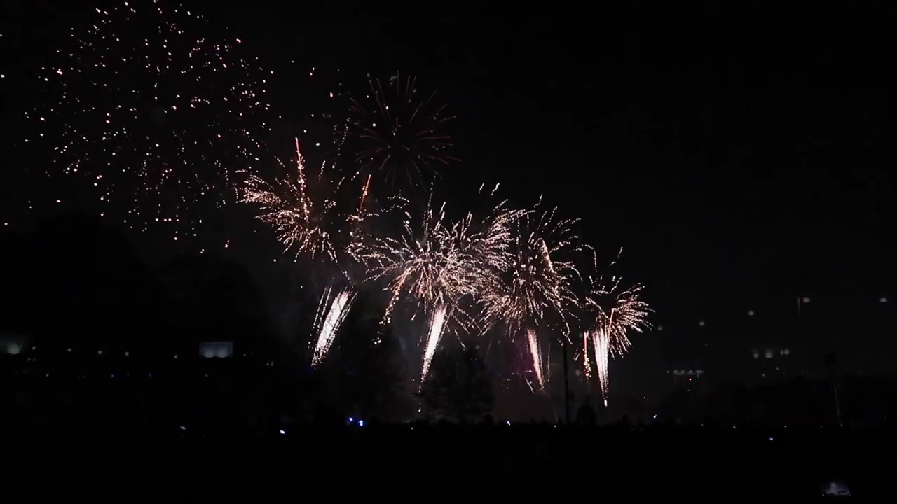Pink and gold fireworks bursting above the trees in Victoria Park London
