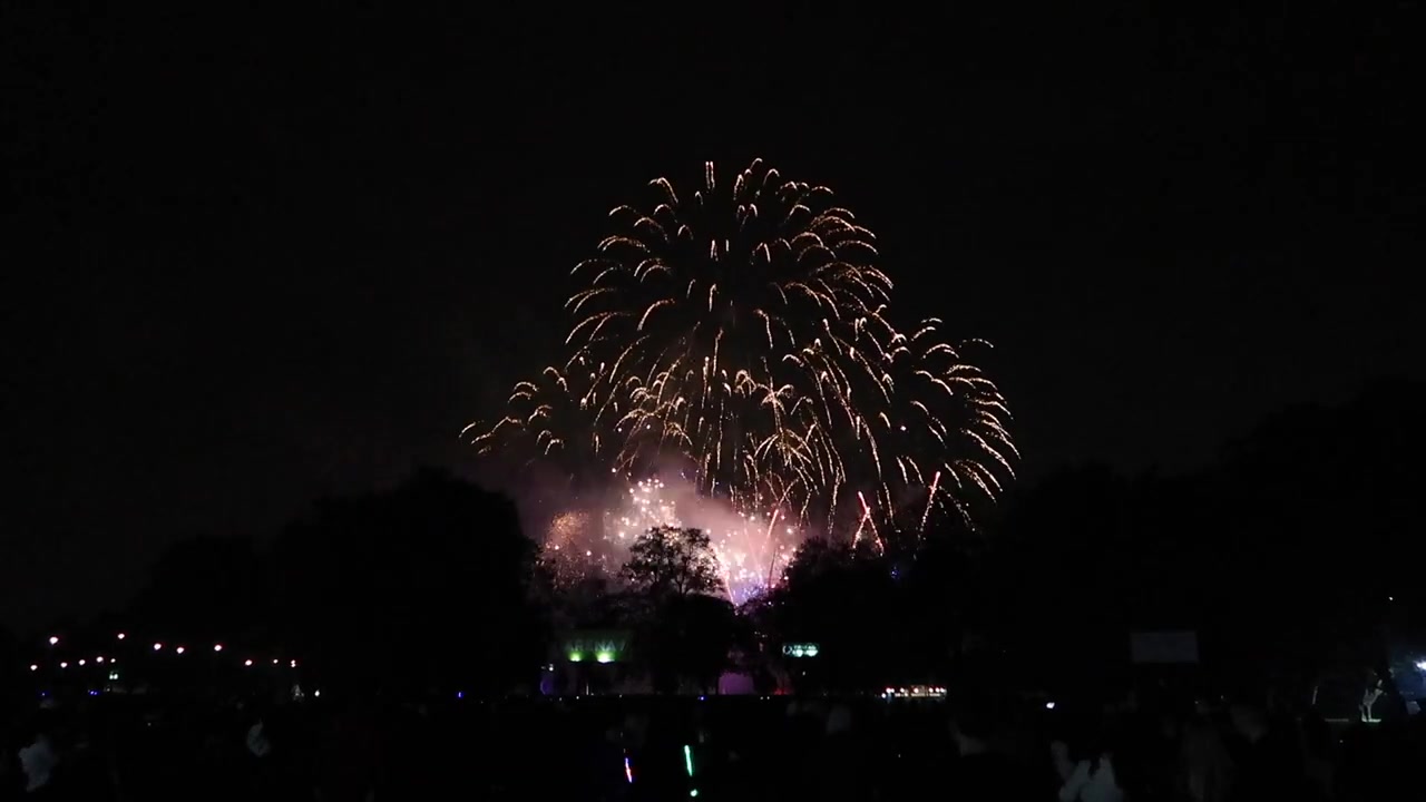 Blue and red fireworks creating a colourful finale above Victoria Park London