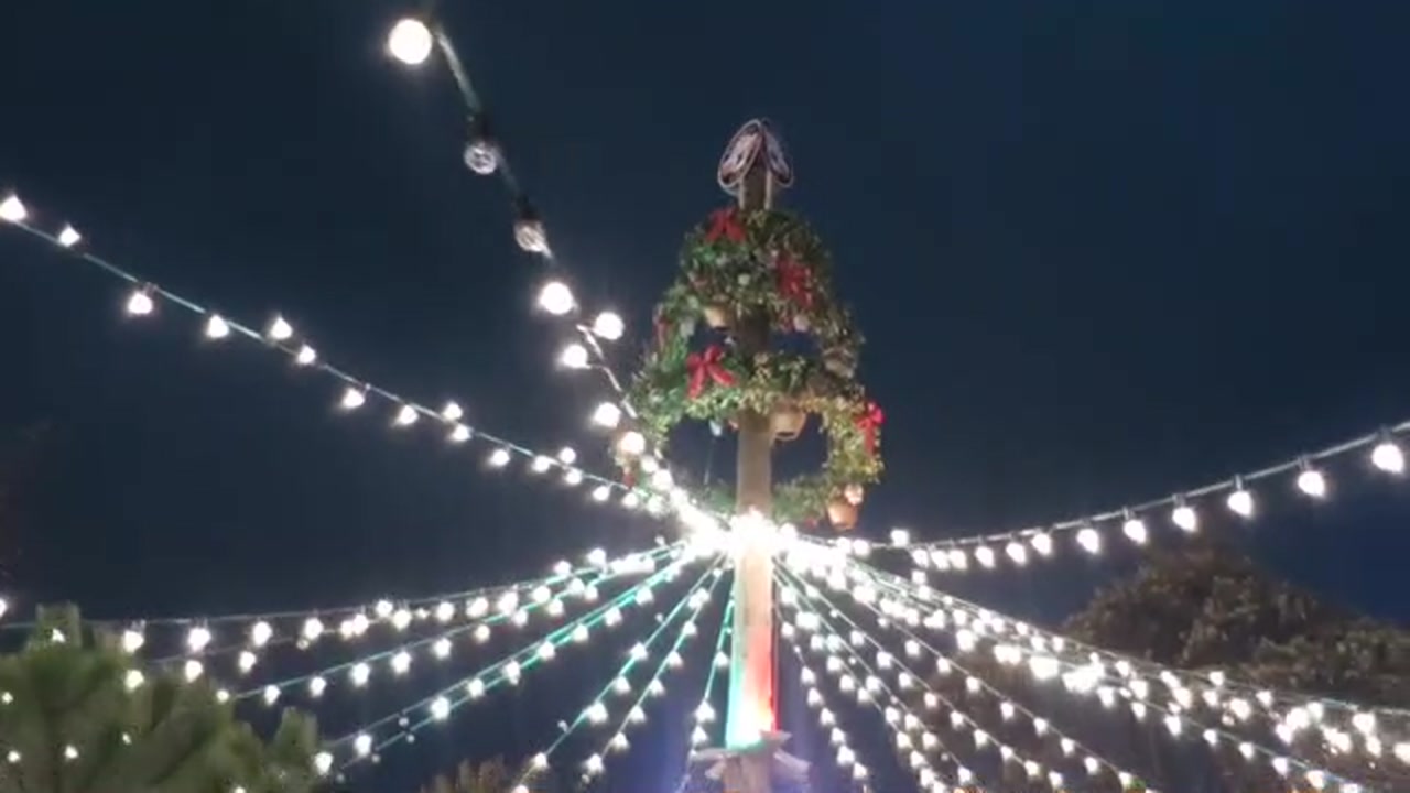 Illuminated Christmas tree beneath radiating lights at Hyde Park Winter Wonderland