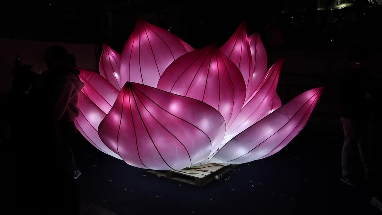 Large illuminated pink lotus lantern at the Trafalgar Square Diwali festival