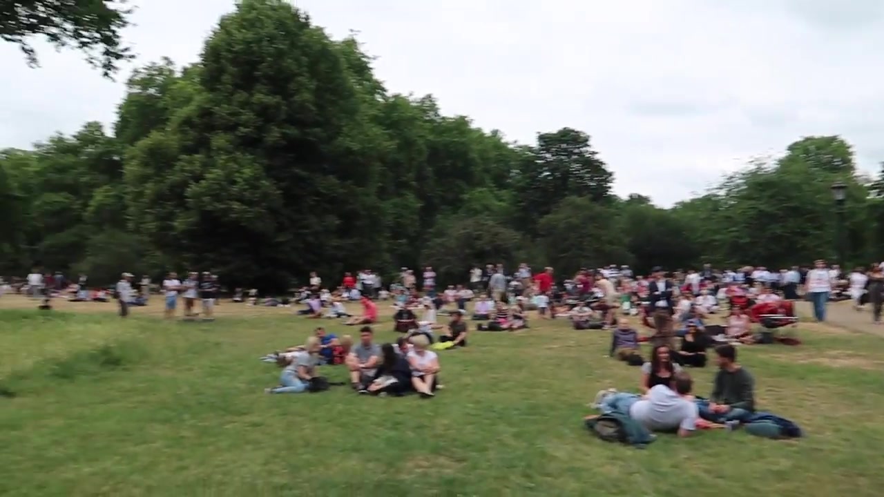 Crowds waiting in Green Park for the RAF100 flypast over central London