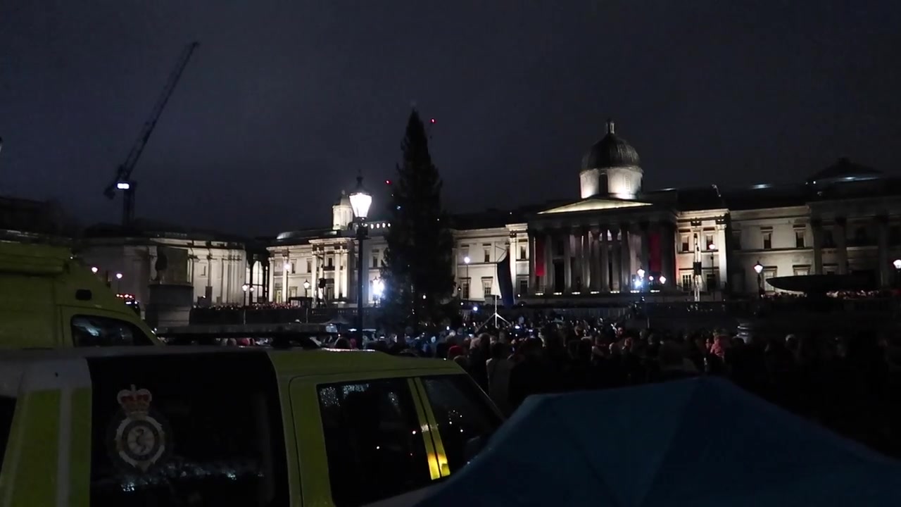 Crowds waiting for the Trafalgar Square Christmas tree lighting.
