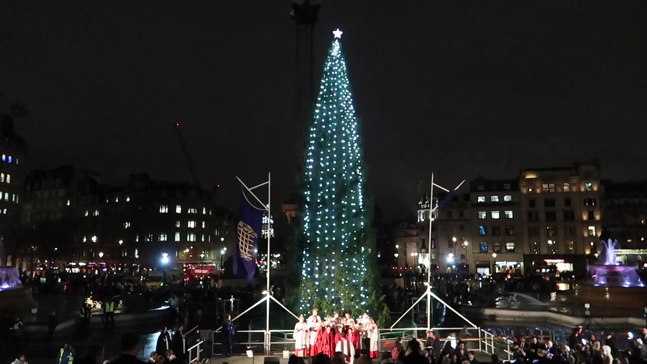 The illuminated Christmas tree in Trafalgar Square.