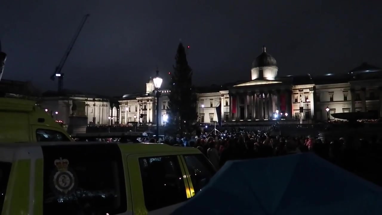 The crowd gathered in Trafalgar Square before the tree lights came on.