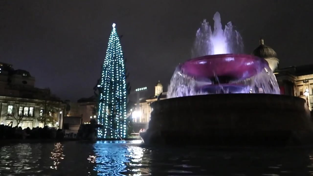 The illuminated Christmas tree beside a Trafalgar Square fountain.