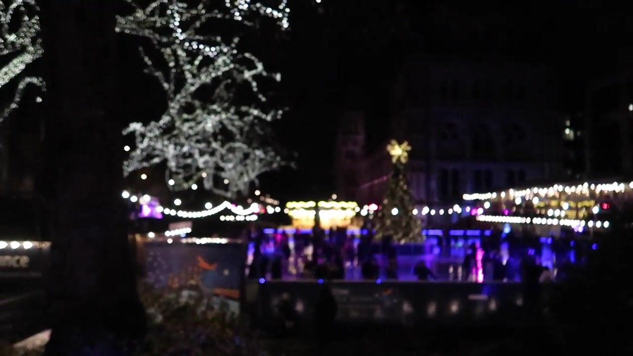 The Natural History Museum ice rink during the winter visit.