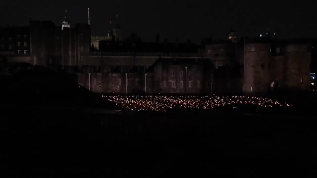 A limited view of the lights in the Tower of London moat during the remembrance visit.