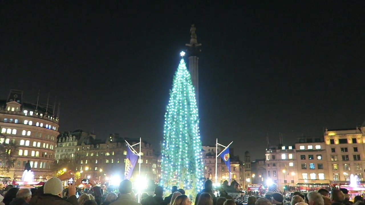 Vertical white lights on the Norwegian Christmas tree in Trafalgar Square in 2016