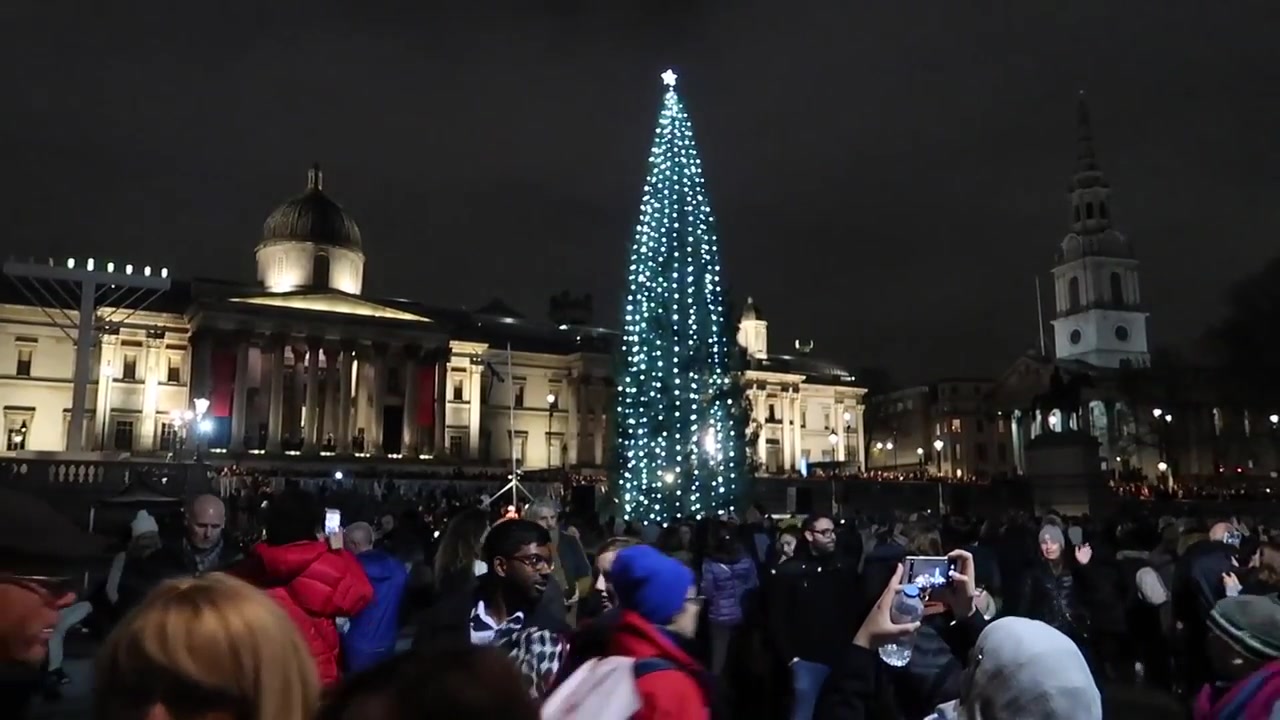 Visitors photographing the illuminated tree.