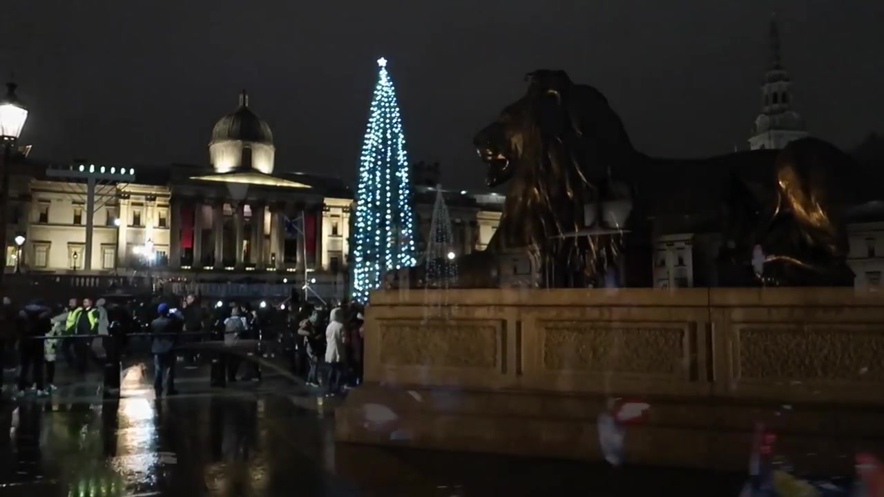 The Christmas tree viewed across Trafalgar Square beside one of the lions.