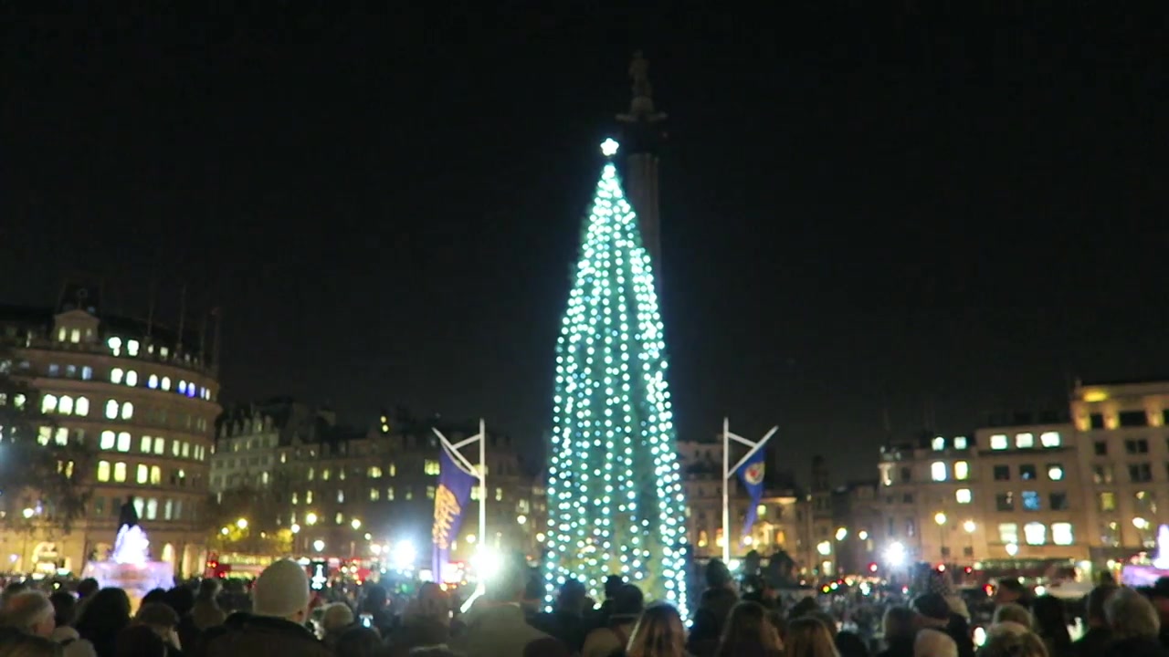 Wide night view of the Trafalgar Square Christmas tree and surrounding buildings in 2016