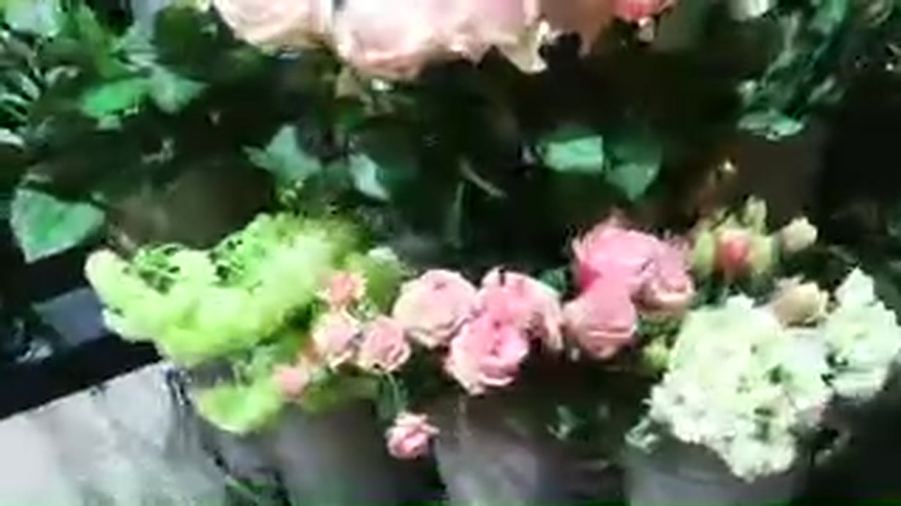 Pink and white roses displayed by a London florist ahead of Valentine’s Day in 2017