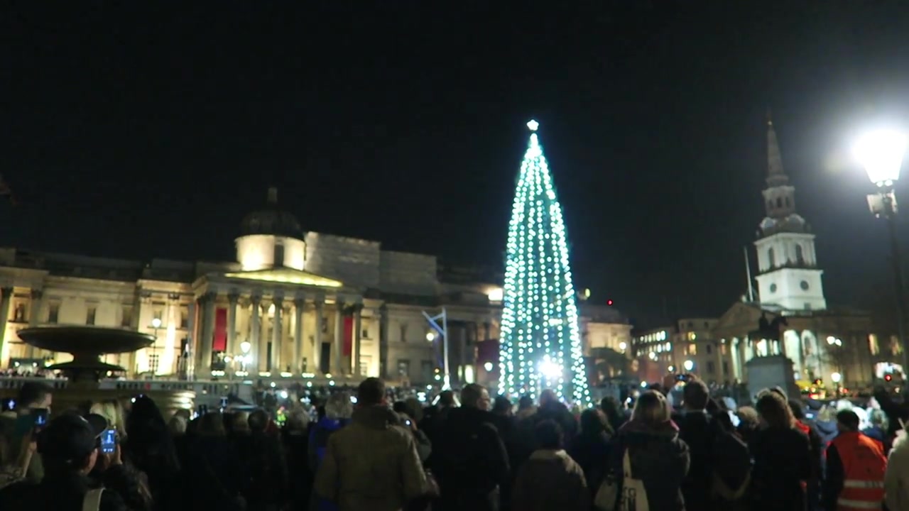 Roberts London presenter with the illuminated Trafalgar Square Christmas tree in 2016