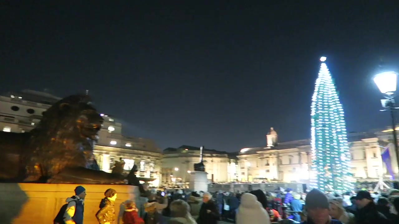 The 2016 Trafalgar Square Christmas tree illuminated beside the National Gallery