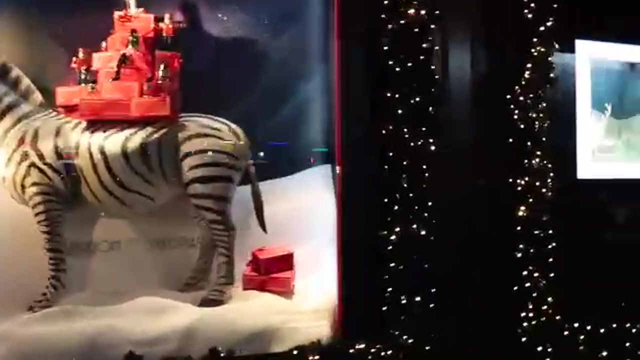 Zebra display in a Selfridges Christmas window