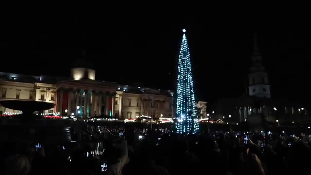 Trafalgar Square Christmas tree in London at night