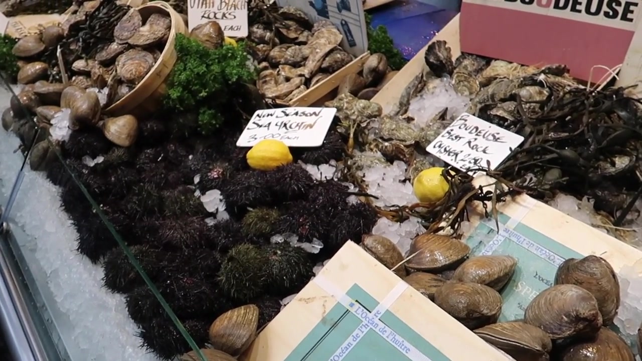 Shellfish display with oysters, clams and lemons at Borough Market