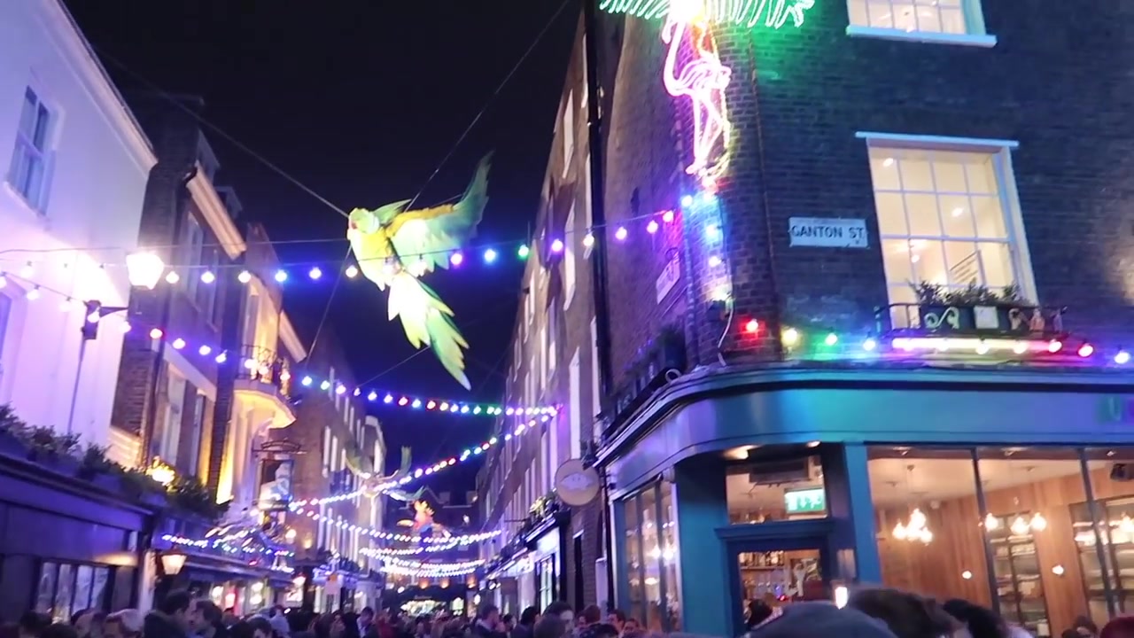 A colourful bird decoration and strings of lights above a neighbouring street.