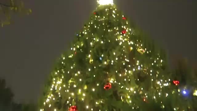 Illuminated Christmas tree with red baubles at Duke of York Square in 2016