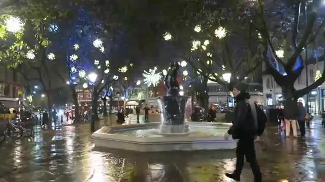 Illuminated trees and fountain in Sloane Square at night in November 2016