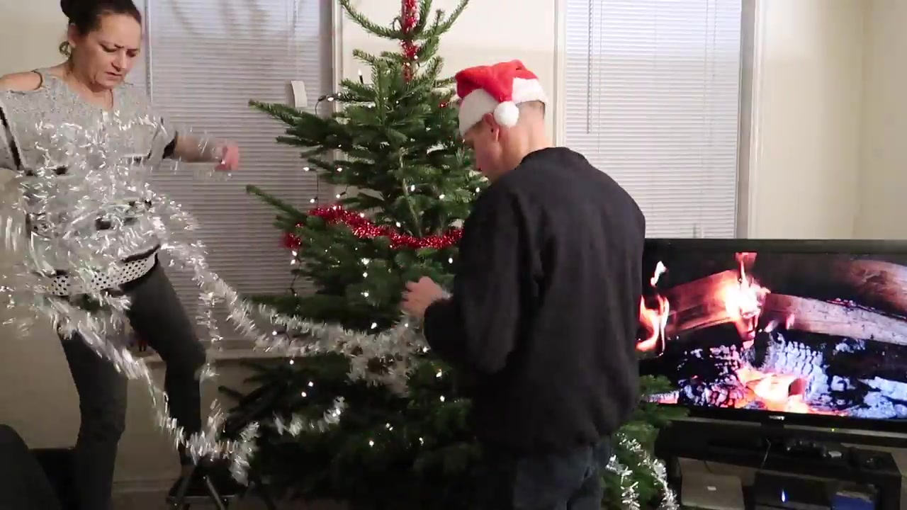 Adding red and silver tinsel to the real Christmas tree.