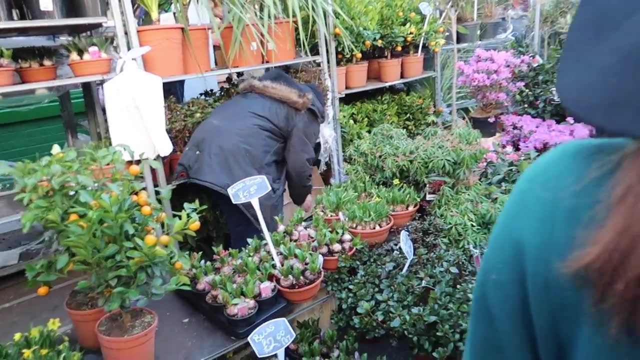 Potted plants packed around a Columbia Road stall.
