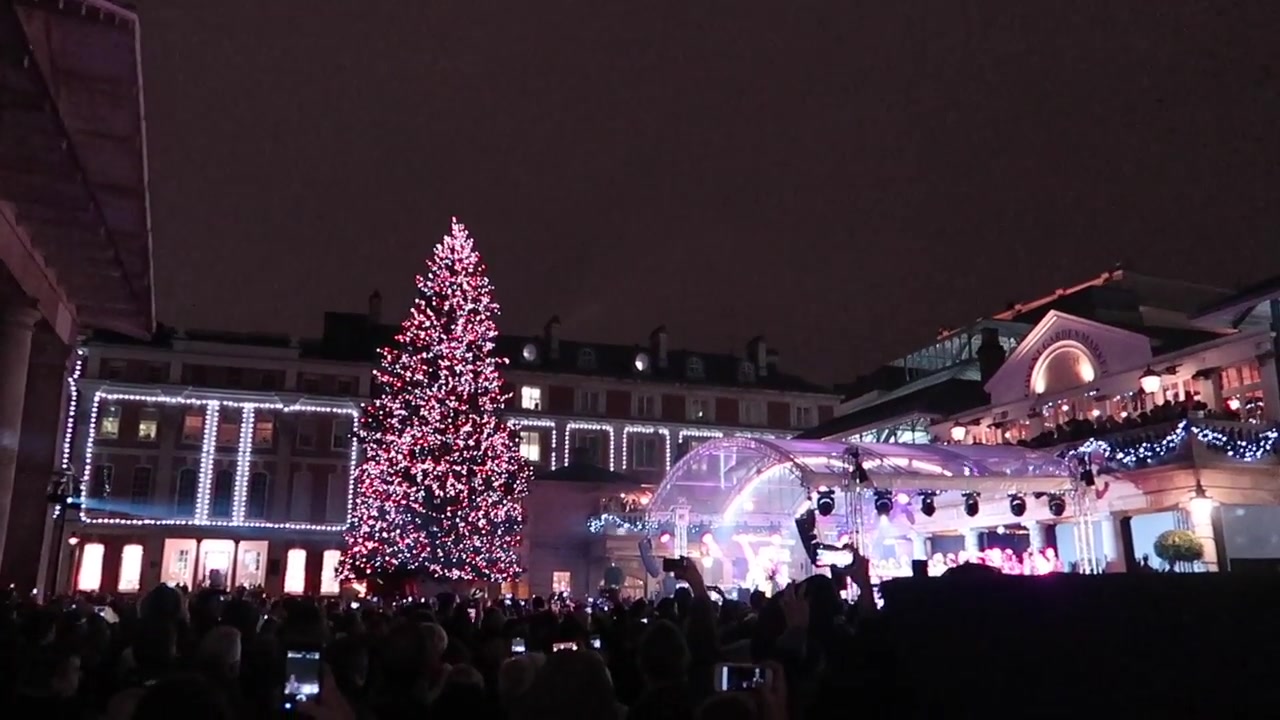 The illuminated Christmas tree beside the purple-lit event stage.