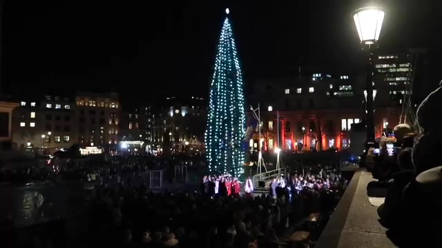 White lights on the Trafalgar Square Christmas tree above a crowd at night