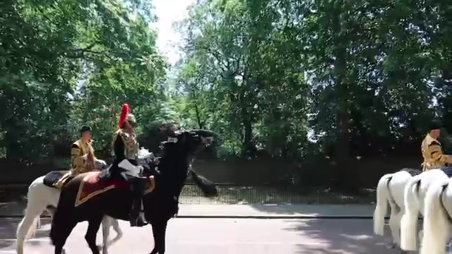 Mounted musicians passing spectators at Trooping the Colour in June 2018