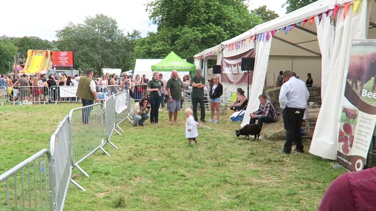 Visitors beside animal pens and a marquee in the farm area
