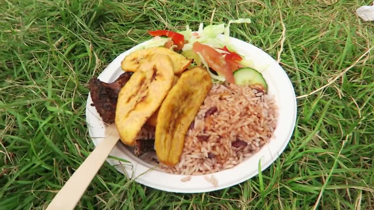 Jerk chicken with rice and peas, plantain and salad on a plate on the grass