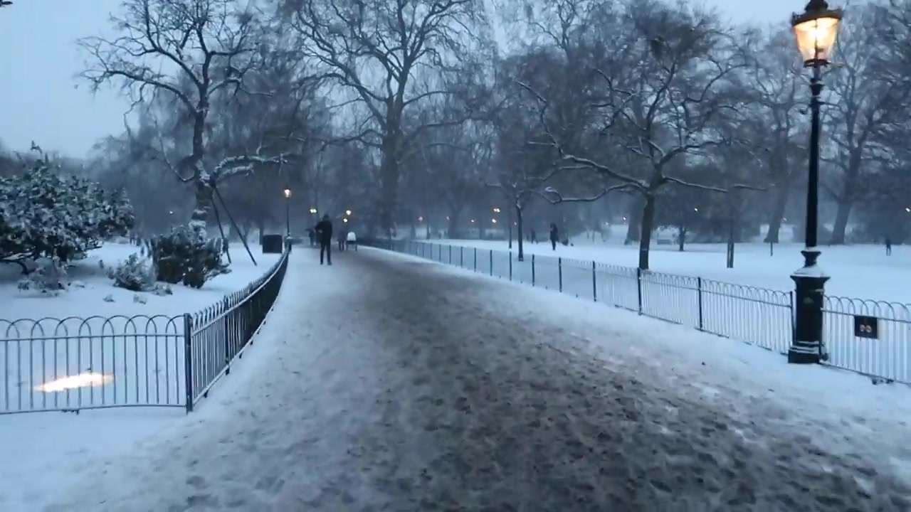 Snow covers the paths and bare trees at the start of the March film.