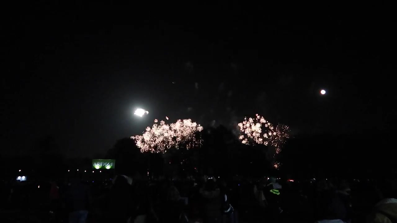 The crowd watches another burst of fireworks over the dark park.