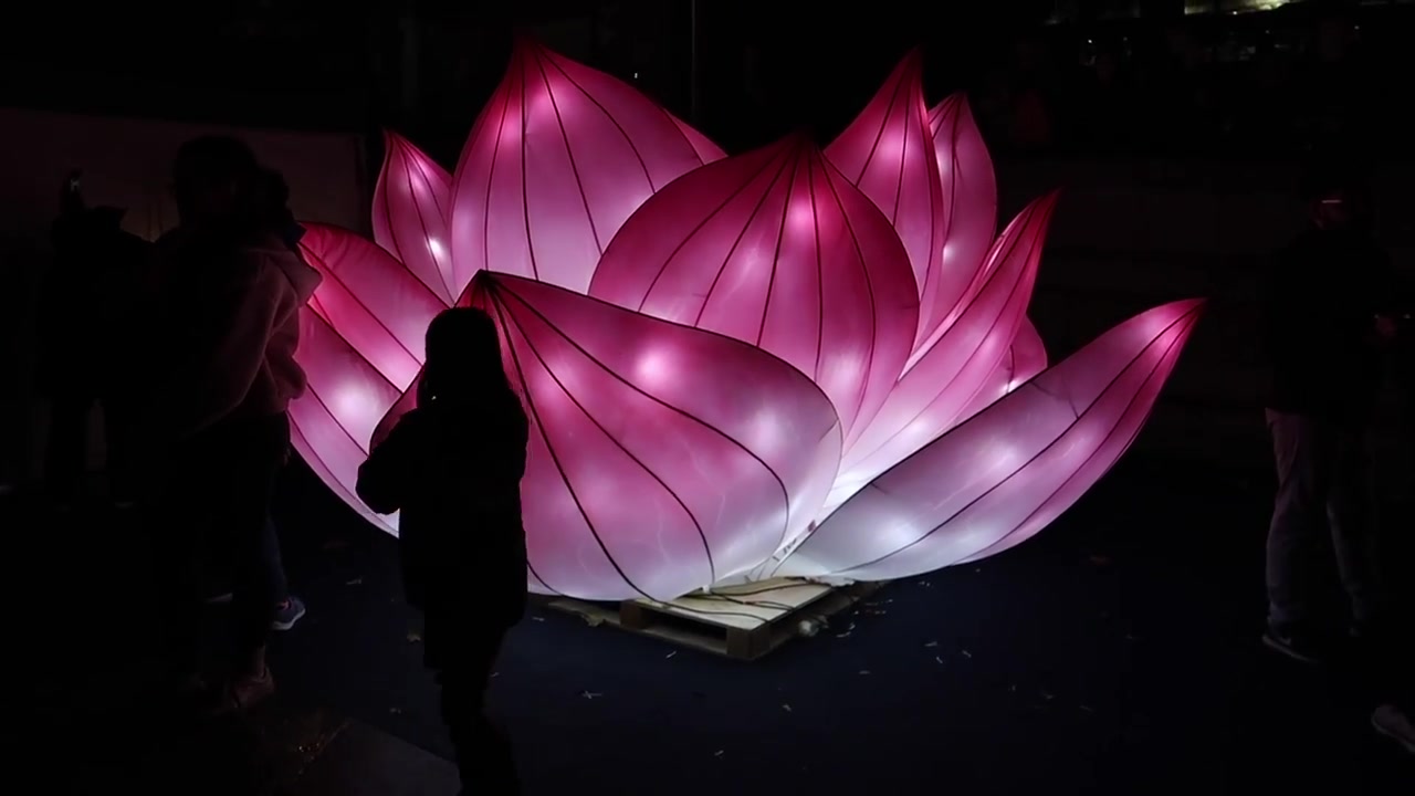 A pink illuminated lotus lights up the Diwali celebrations.