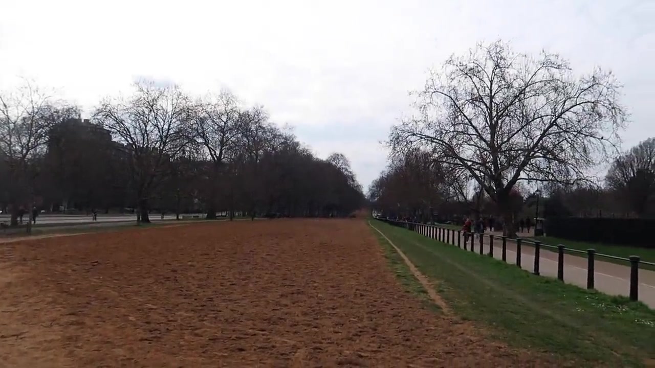Rotten Row riding track and the adjacent path in Hyde Park.