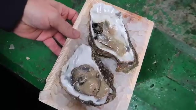 Rock oysters served in their shells at Borough Market
