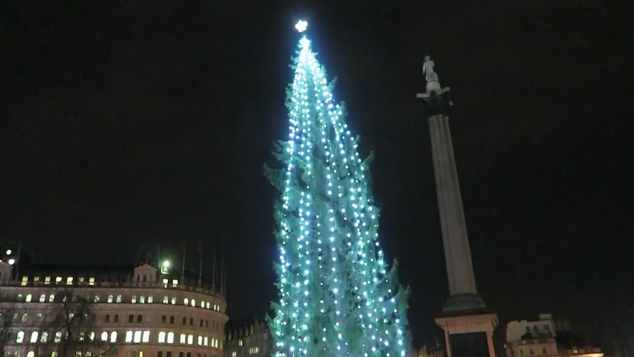 Vertical strings of lights on the Trafalgar Square Christmas tree at night.