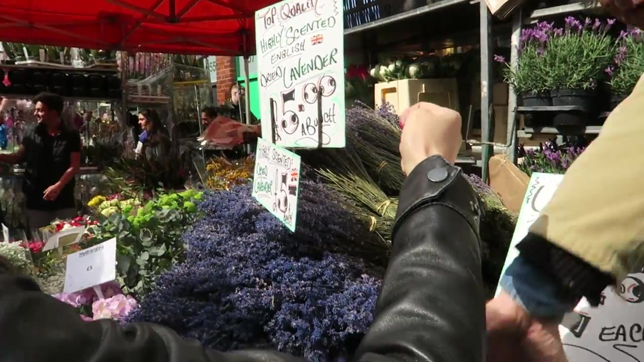 Lavender plants displayed beneath a red market awning