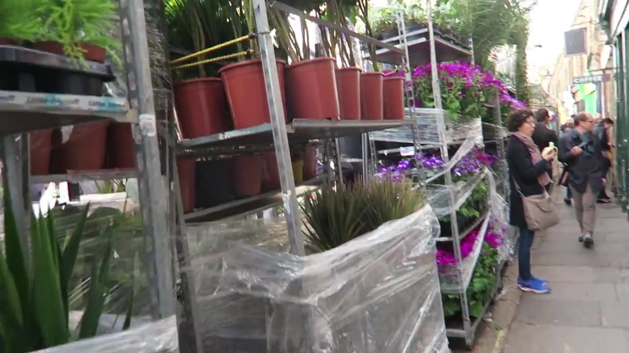 Potted plants stacked beside the walkway at Columbia Road Flower Market