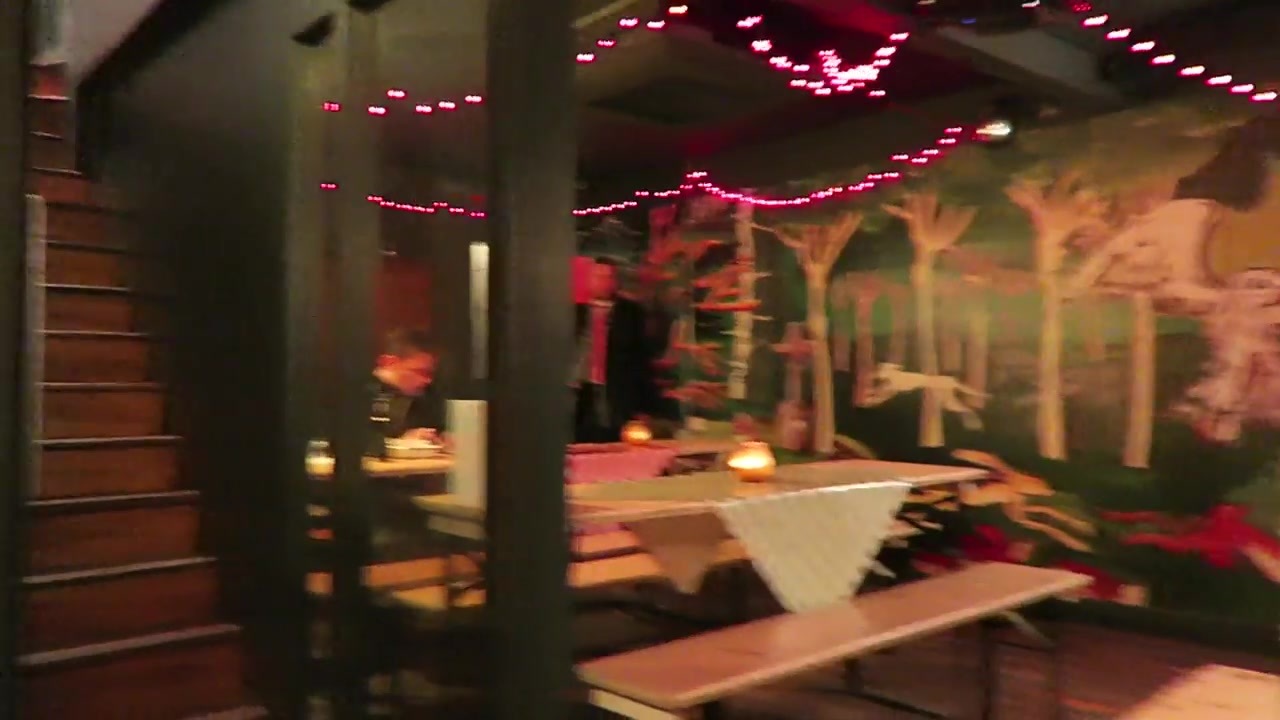 Basement seating at Herman Ze German Soho, with woodland decoration and strings of lights.